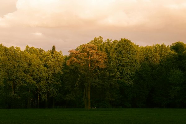 Le certificazioni it pi√π ricercate nel 2023: quali scegliere per avanzare nella carriera?